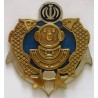 Iran Military Navy Special Forces 2nd Class (2 Star) Deep Sea Diving Diver & combat swimmer Scuba Metal Badge - New Type  III