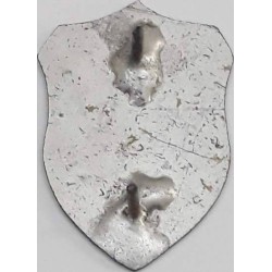 Iran Military Elite Special Forces Mountain Warfare Qualification Badge Type II