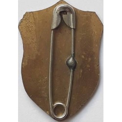 Iran Military Elite Special Forces Mountain Warfare Qualification Badge Type IV