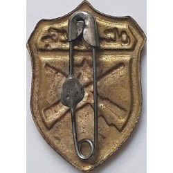 Iran Military Elite Special Forces Mountain Warfare Qualification Badge Type V