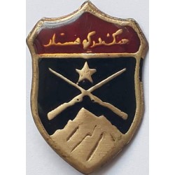 Iran Military Elite Special Forces Mountain Warfare Qualification Badge Type V