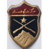 Iran Military Elite Special Forces Mountain Warfare Qualification Badge Type V