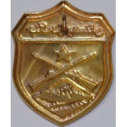 Iran Military Elite Special Forces Mountain Warfare Qualification Badge Type VII