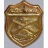 Iran Military Elite Special Forces Mountain Warfare Qualification Badge Type VII