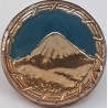 Iran Military Elite Special Forces Mountain Warfare Qualification Badge Pin Type X
