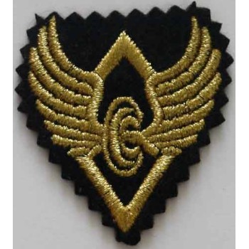 Iran Train Railroad Railway Locomotive Driver Embroidered Patch