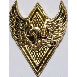 Iran Train Railroad Railway Locomotive Driver Small Metal Badge
