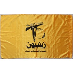 Zeynabiyoun Brigade Flag: Symbolism of the Pakistani Shia Militia Supporting Assad