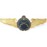 Iran Persia Artesh Army Military Police MP Branch Metal Wing