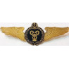 copy of Iran Persia Artesh Army Medical Branch Military Metal Wing