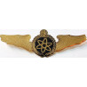 Iran Persia Artesh Army Electronics Branch Military Metal Wing