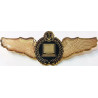 Iran Persia Artesh Army Information Technology Computer Branch Military Metal Wing