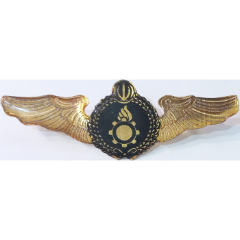 copy of Iran Persia Artesh Army Ordnance Branch Military Metal Wing