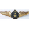 copy of Iran Persia Artesh Army Ordnance Branch Military Metal Wing