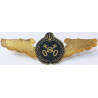Iran Persia Artesh Army Treasury Branch Military Metal Wing