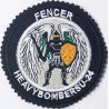 Iran Air Forces IRIAF Sukhoi Su-24 Fencer Bomber Military Embroidered Patch