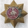 Iran Persia Shah Pahlavi Military Army Uniform Lion & Sun ( Shiro Khorshid ) Taj Crown Shoulder Rank Button