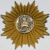 Iran Persia Shah Pahlavi Military Army Uniform Lion & Sun ( Shiro Khorshid ) Taj Crown Shoulder Rank Button