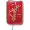 Iran-Iraq War Time Military Islamic Revolutionary Guards Corps ( Sepah-e Pasdaran, IRG, IRGC ) Red Stick-Pin