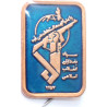 Iran-Iraq War Time Military Islamic Revolutionary Guards Corps ( Sepah-e Pasdaran, IRG, IRGC ) Blue Stick-Pin