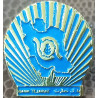 Bank Tejarat Lapel Pin