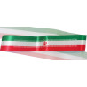 Iran National Flag Headband Used During Night Gatherings Following the Israel & U.S. Airstrikes
