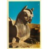 Viewcard Pictorial Postcard
