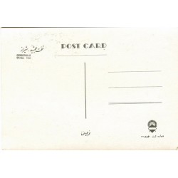 Viewcard Pictorial Postcard