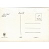 Viewcard Pictorial Postcard