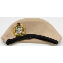 Iran Military Artesh Ground Forces Commandos Khaki Beret Hat & Badge