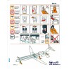Iran Airtour Airlines Boeing MD-83 Safety Card