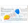 Iran Kish Airlines Used Passenger Flight Ticket & Boarding Pass