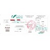 Iran Mahan Air Airlines Used Charter Passenger Flight Ticket & Boarding Pass