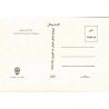 Iran Golestan Palace, Tehran, Viewcard Postcard