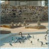 Islam Shia Maqbaratu l-Baqī' in Medina, KSA, with the Holy Tombs of Shia Imams Decorative Tile