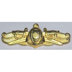 Iran Marines Navy Military Wing