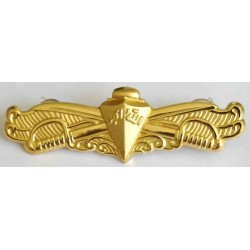 Iran Marines Navy Military Wing