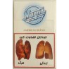 Iran Tax Label MAGNA Unopened Full Cigarette Pack