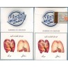 Iran Tax Label MAGNA Unopened Full Cigarette Pack