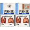 FISHER Blue with Iran Tax Label & Persian Health Warning Unopened Full Cigarette Pack