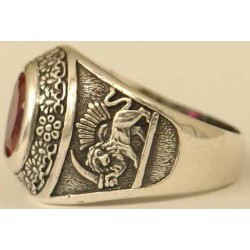 IRAN Persia Shah Pahlavi Lion & Sun Shiro Khorshid & Zoroastrian Farvahar Wing Red Rubby Imitation Stone Silver 925 Ring