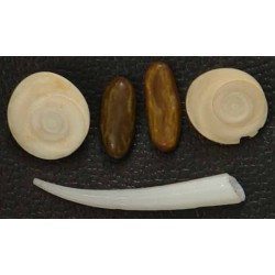 Iran Persian Mysterious Sciences Charm Talisman Mohreye Mar Set as Pictured