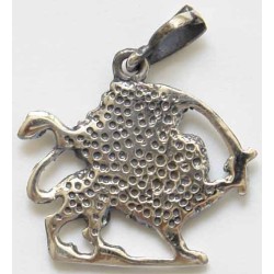 Iran Lion and Sun Emblem Sterling Silver 925 Pendant Necklace