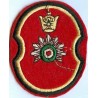 Iran Original Shah Pahlavi Era Military Embroidered Patch