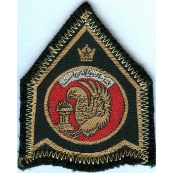 Iran Original Shah Pahlavi Era Imperial Iranian Air Force IIAF Patch
