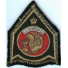 Iran Original Shah Pahlavi Era Imperial Iranian Air Force IIAF Patch