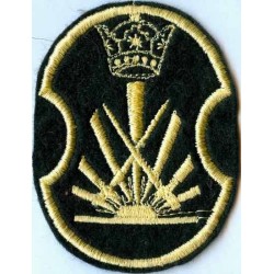 Iran Shah Pahlavi Era Military Original Embroidered Patch