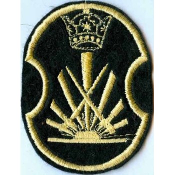 Iran Shah Pahlavi Era Military Original Embroidered Patch