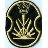 Iran Shah Pahlavi Era Military Original Embroidered Patch