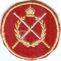 Iran Original Shah Pahlavi Era Military Embroidered Patch